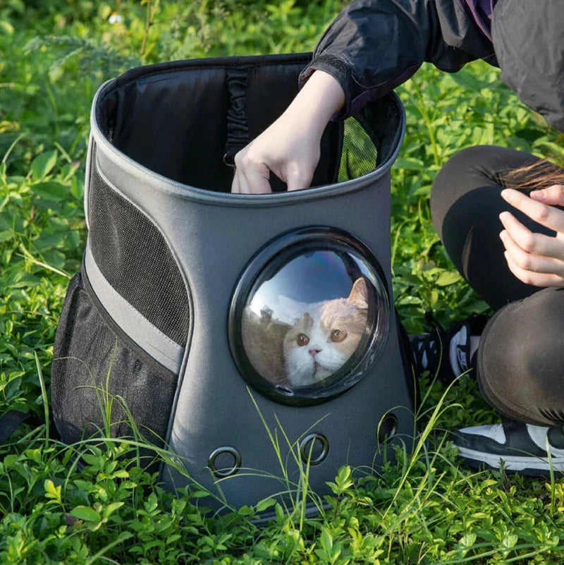 Cat Bubble Backpack