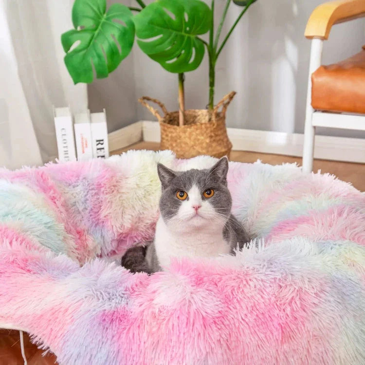 Cat Tunnel Bed