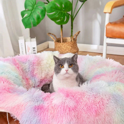 Cat Tunnel Bed