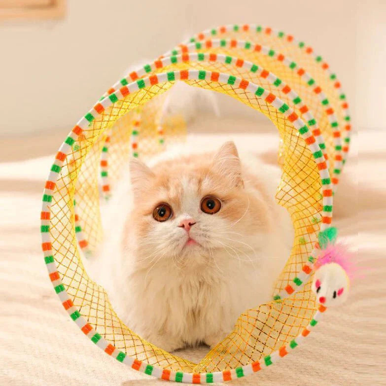 Cat Spring Toy