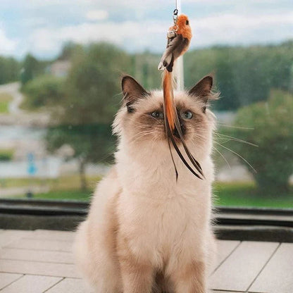 Interactive Bird Cat Toy