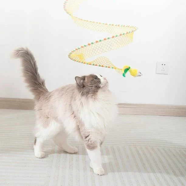 Cat Spring Toy