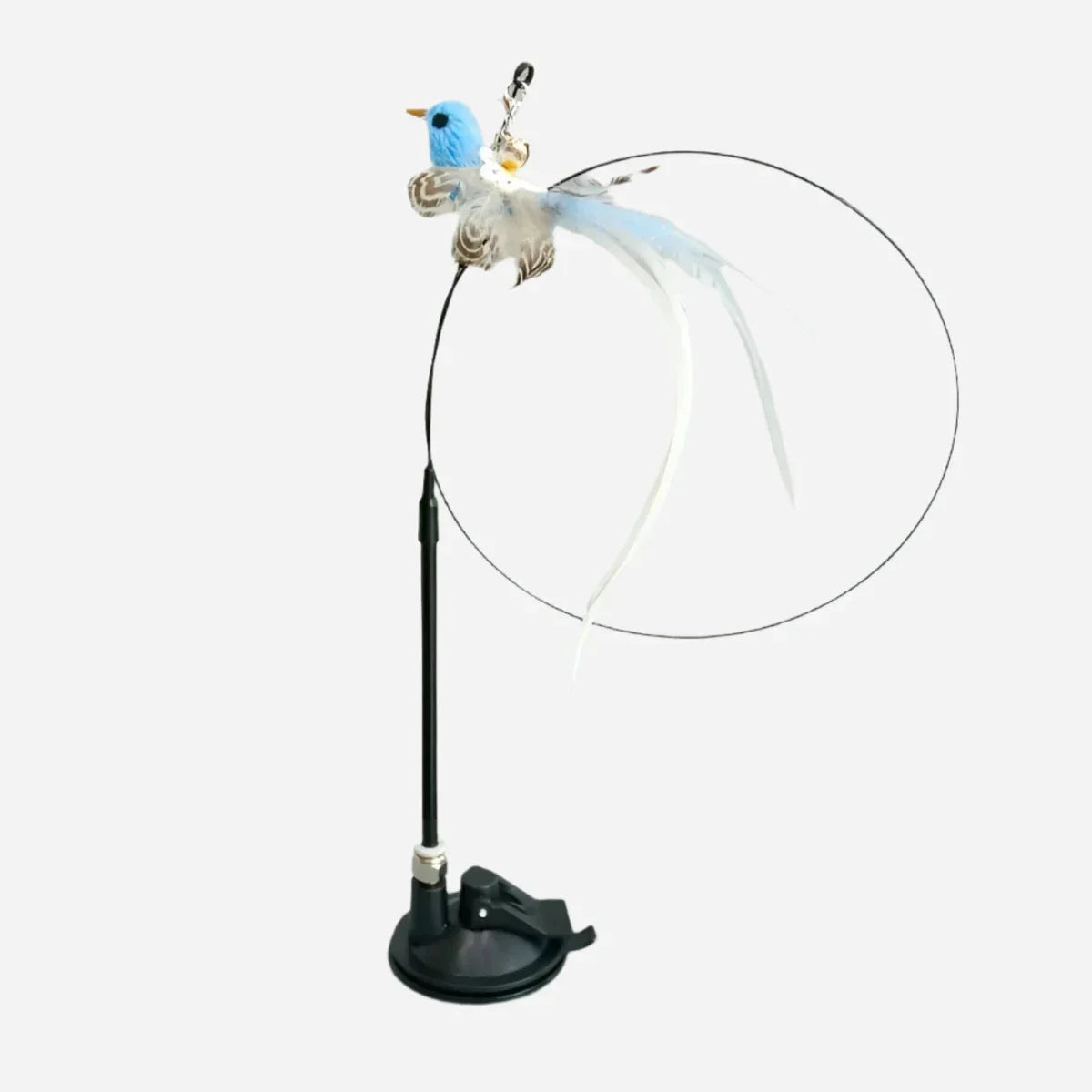 Interactive Bird Cat Toy