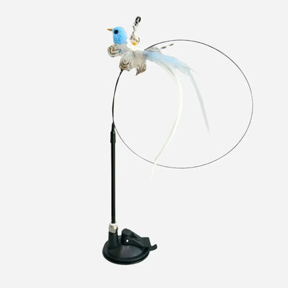 Interactive Bird Cat Toy