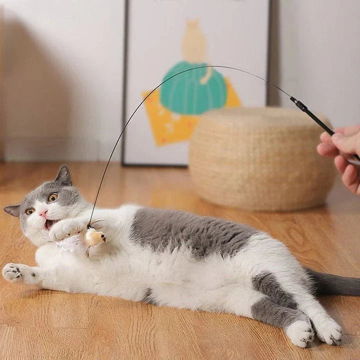 Interactive Bird Cat Toy