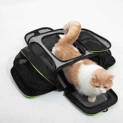 Pet Carrier Bag