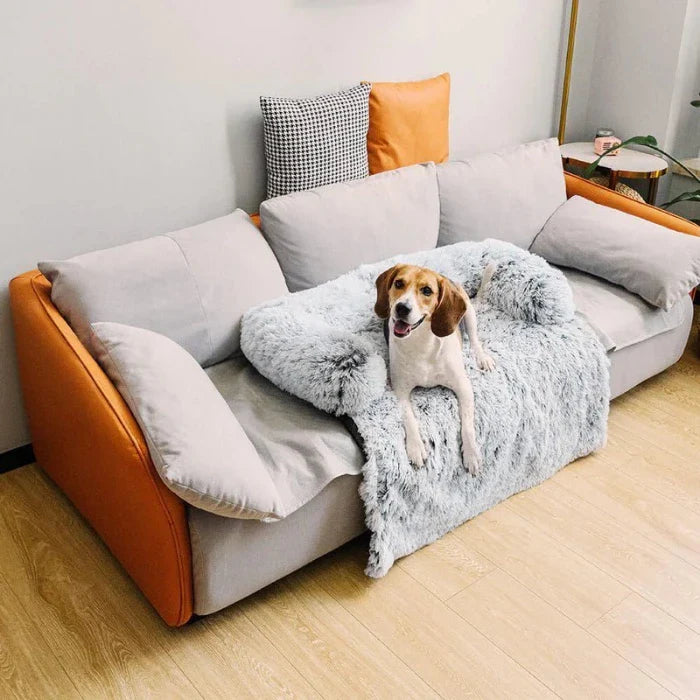 Dog Couch Bed