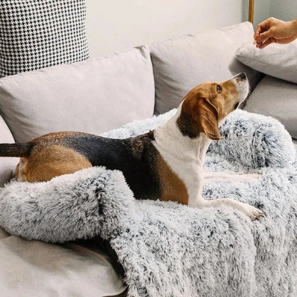 Dog Couch Bed
