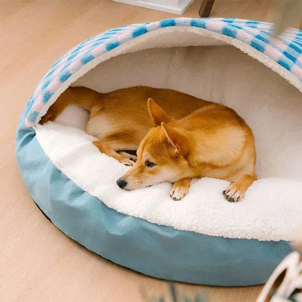 Covered Dog Bed