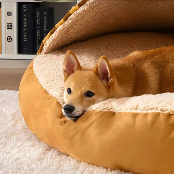 Covered Dog Bed