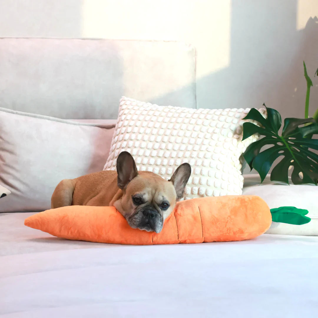 Carrot Dog Toy