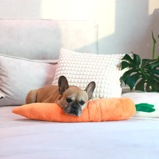 Carrot Dog Toy