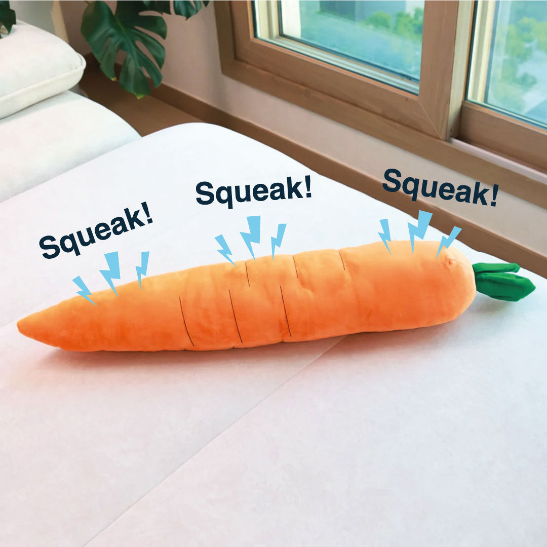 Carrot Dog Toy