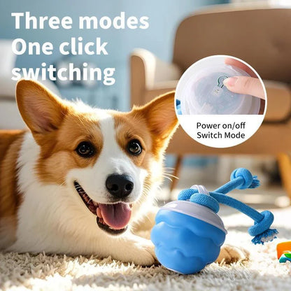 Smart Dog Toy Ball