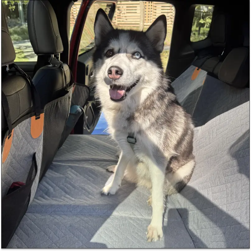 Hard Bottom Dog Seat Cover