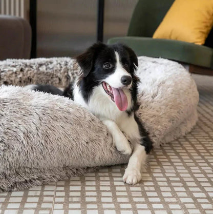 Human Dog Bed