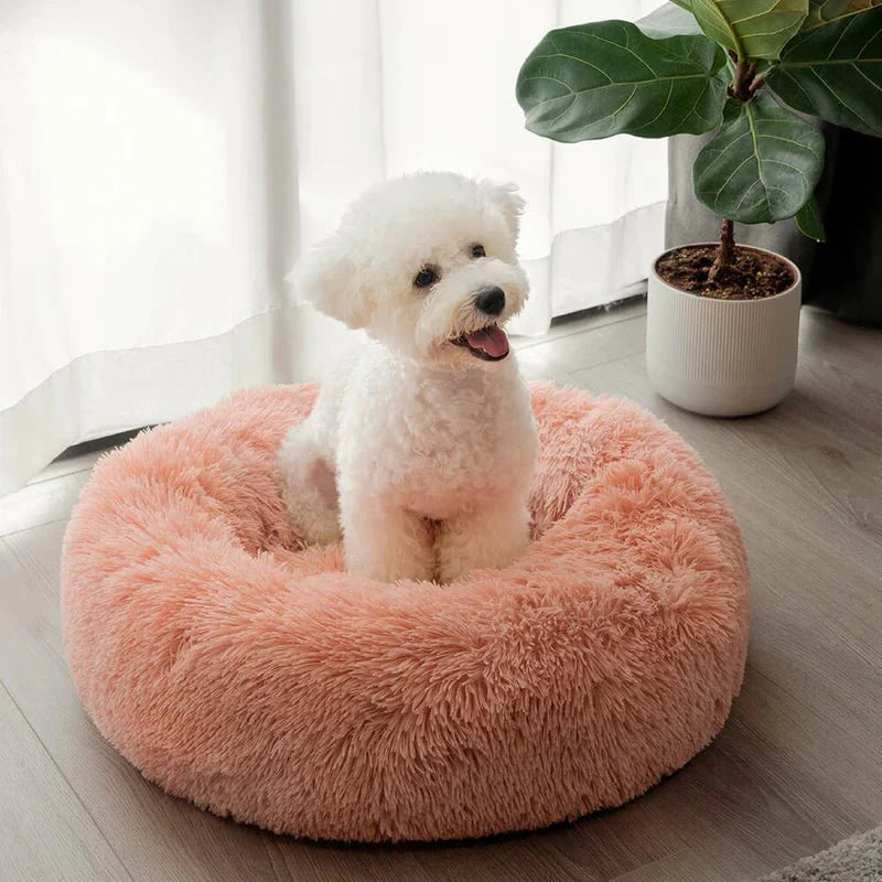 Round Dog Bed