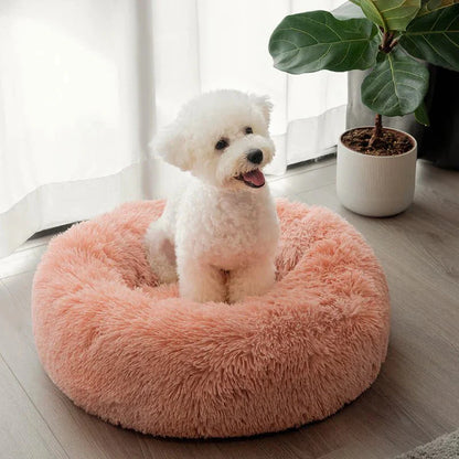 Round Dog Bed