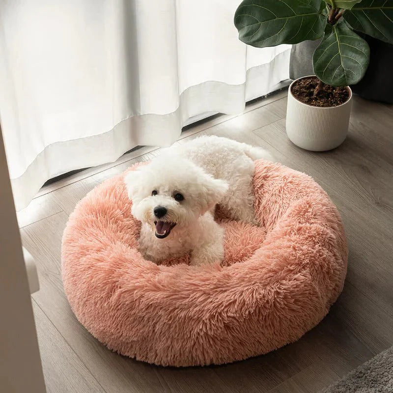 Round Dog Bed
