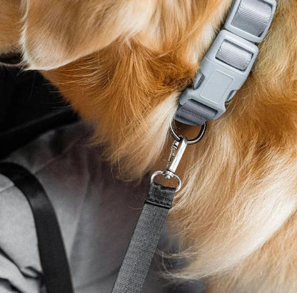 Large Dog Car Bed for Back Seat & Boot