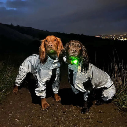 Dog Rain Coat