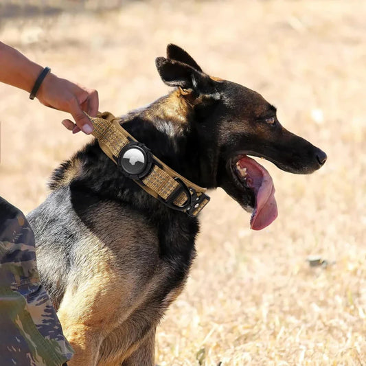 Tactical Dog Collar