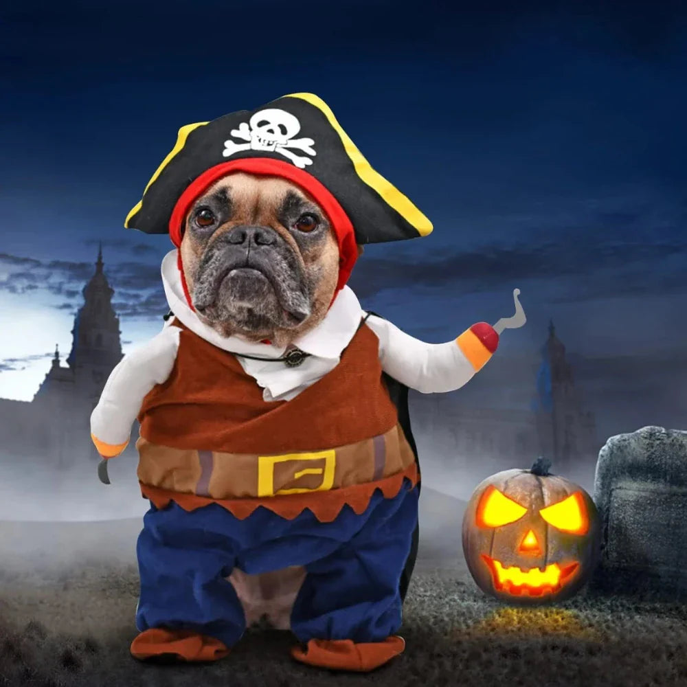 Pirate Dog & Cat Costume