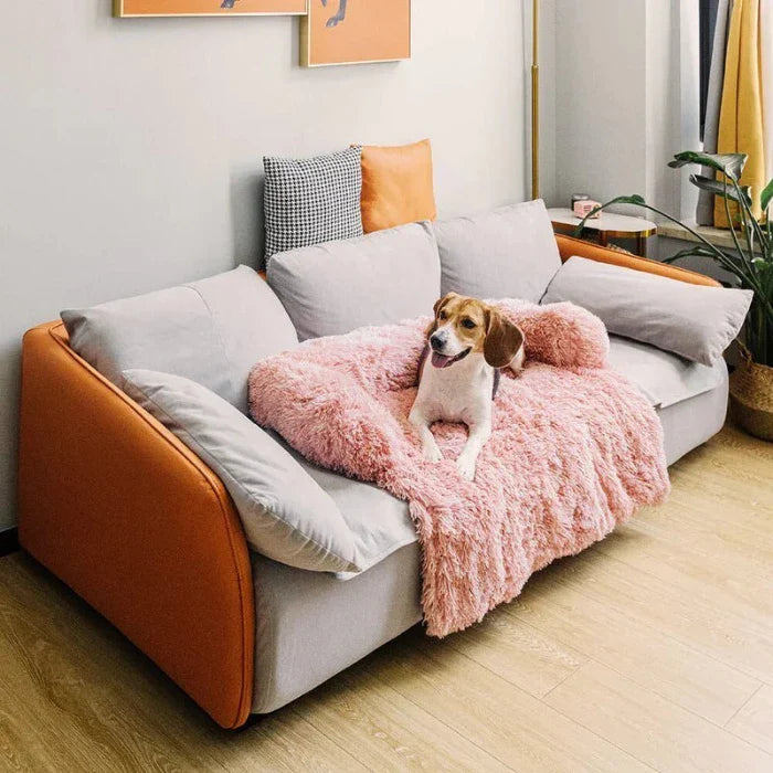 Dog Couch Bed