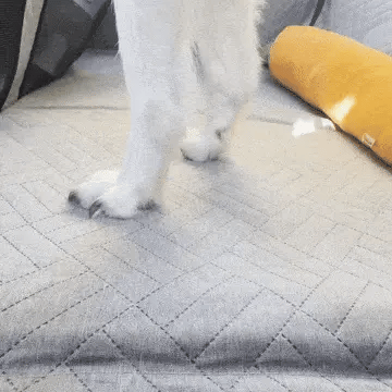 Hard Bottom Dog Seat Cover