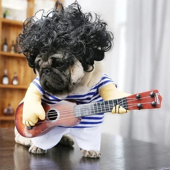 Rockstar Dog Costume