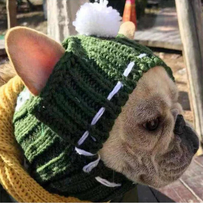French Bulldog Hat with Ears