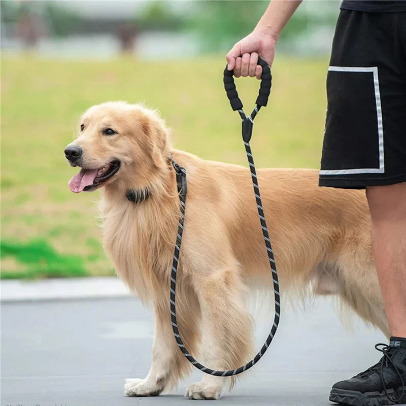 Rope Dog Leash