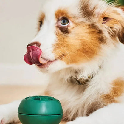 Freezable Dog Toy