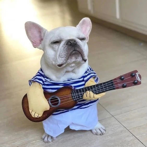 Rockstar Dog Costume