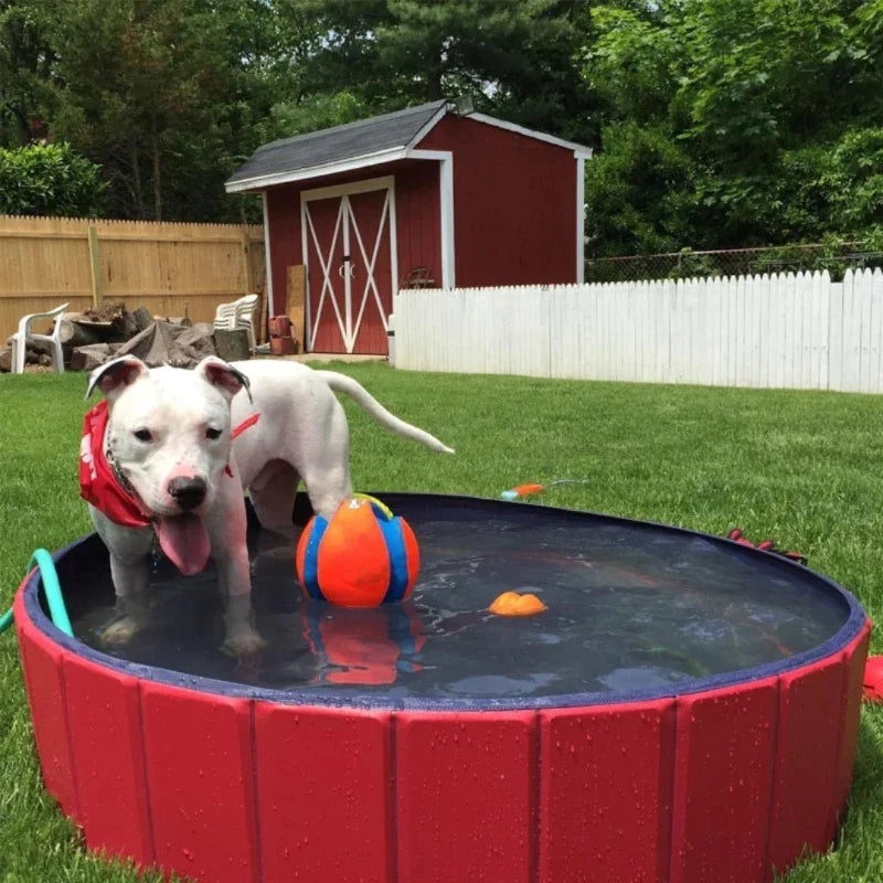 Dog Paddling Pool