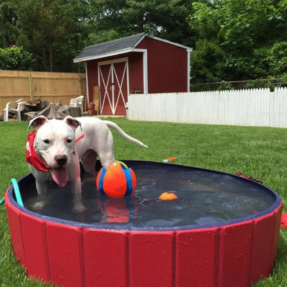Dog Paddling Pool