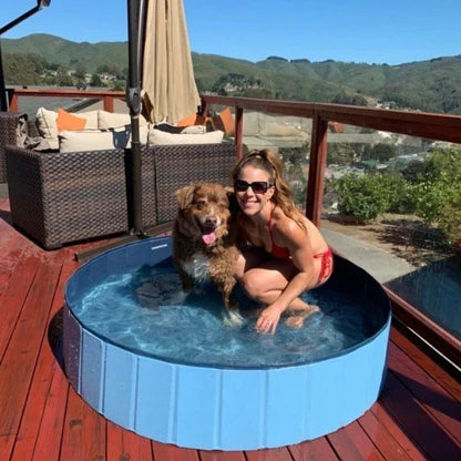 Dog Paddling Pool