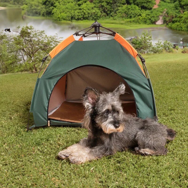 Pet Tent