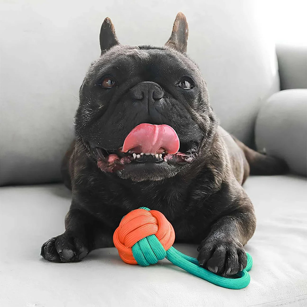 Dog Rope Toy