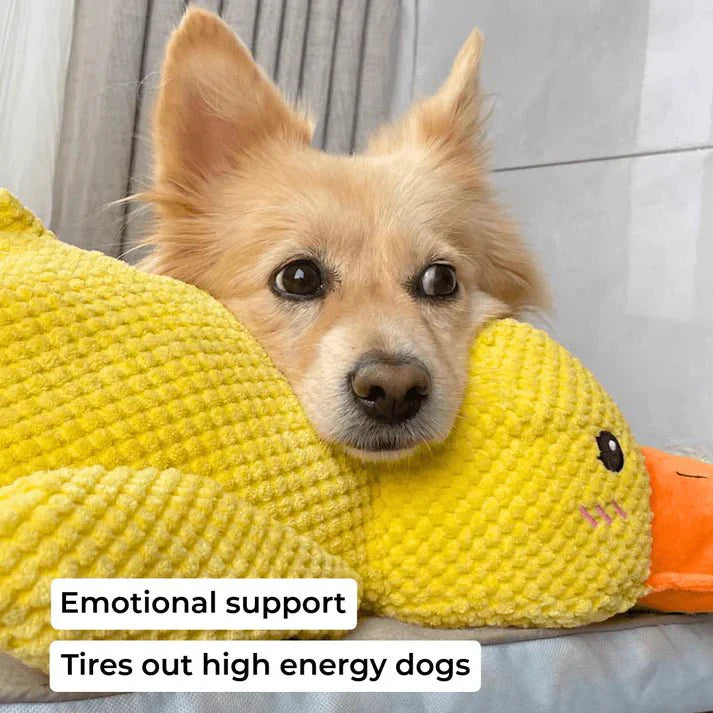 Duck Dog Toy