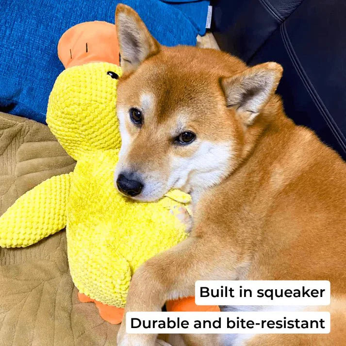 Duck Dog Toy
