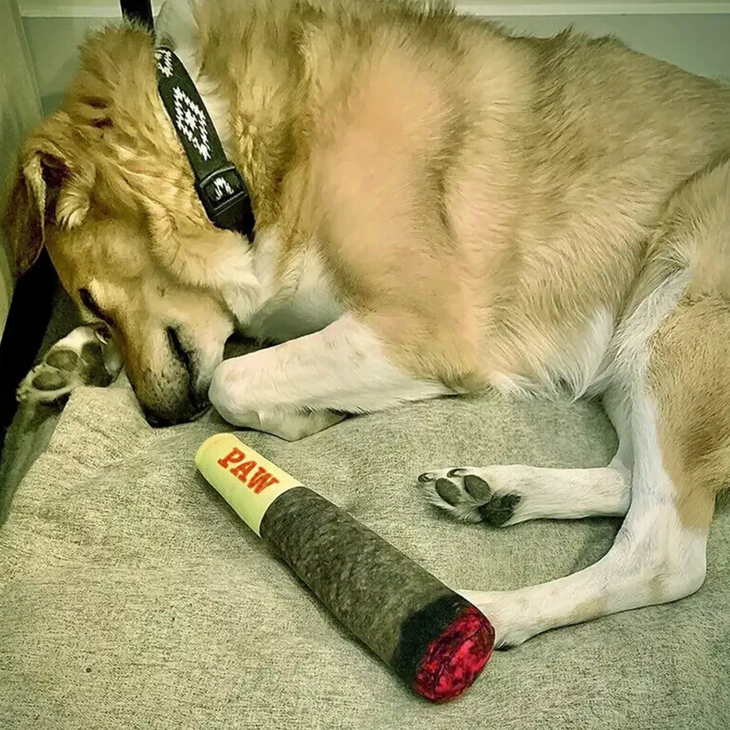 Raw Joint Dog Toy