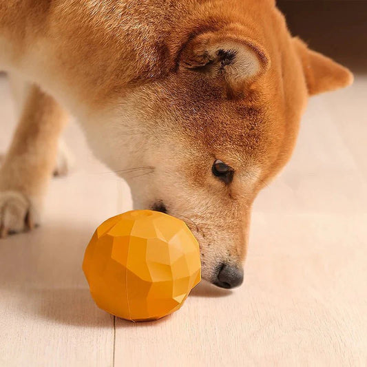 Dog Hide Treat Toy