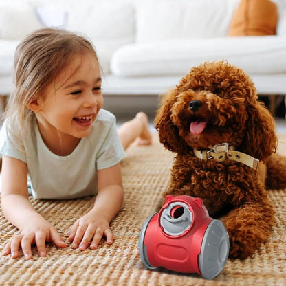 Dog Treat Dispenser Toy