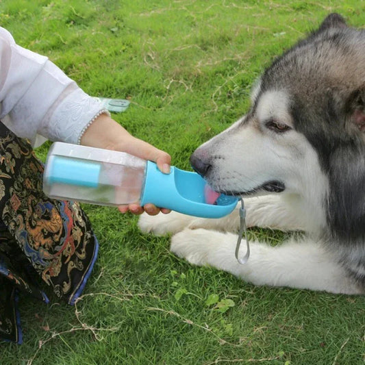 Dog Water Bottle