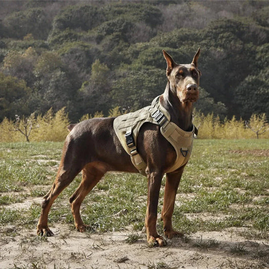 Tactical Dog Harness