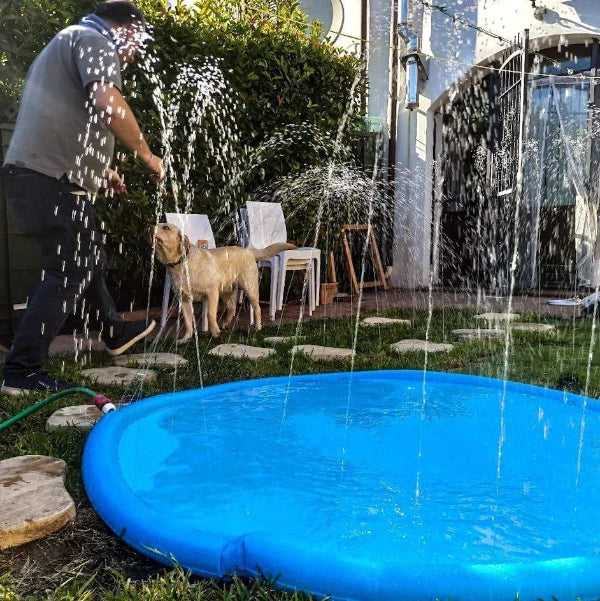 Dog Splash Pad