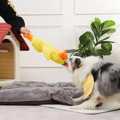 Duck Dog Toy