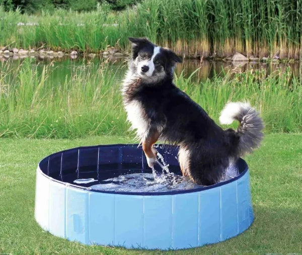 Dog Paddling Pool