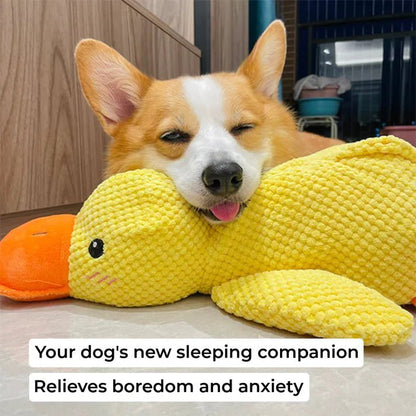 Duck Dog Toy